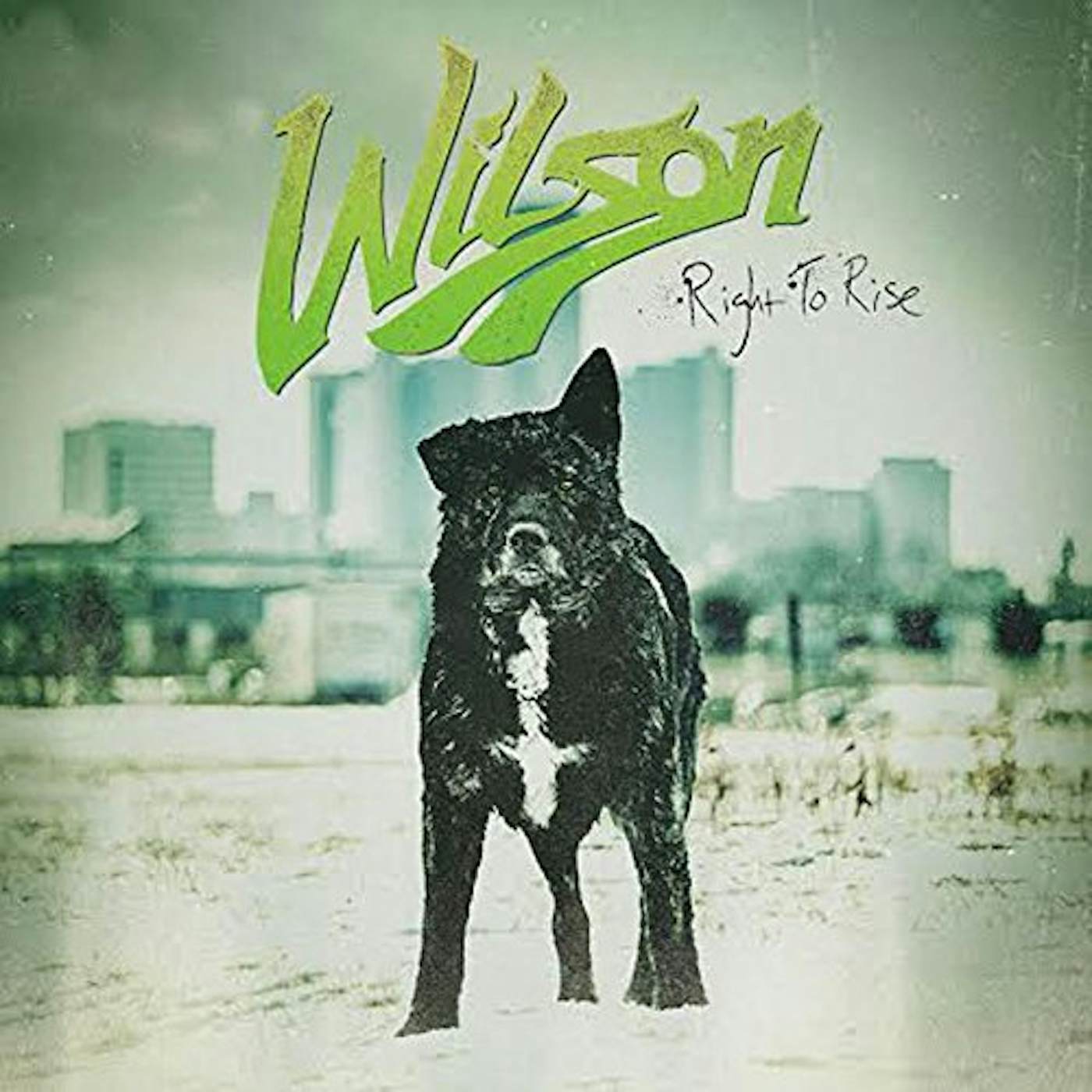 Wilson RIGHT TO RISE CD