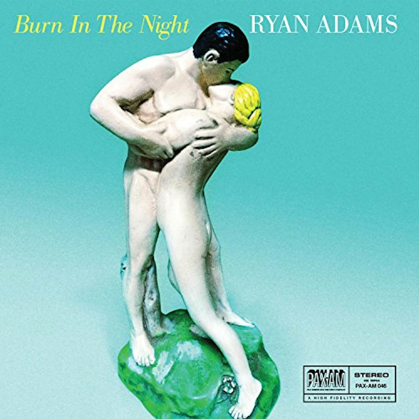 Ryan Adams Burn In The Night Vinyl Record