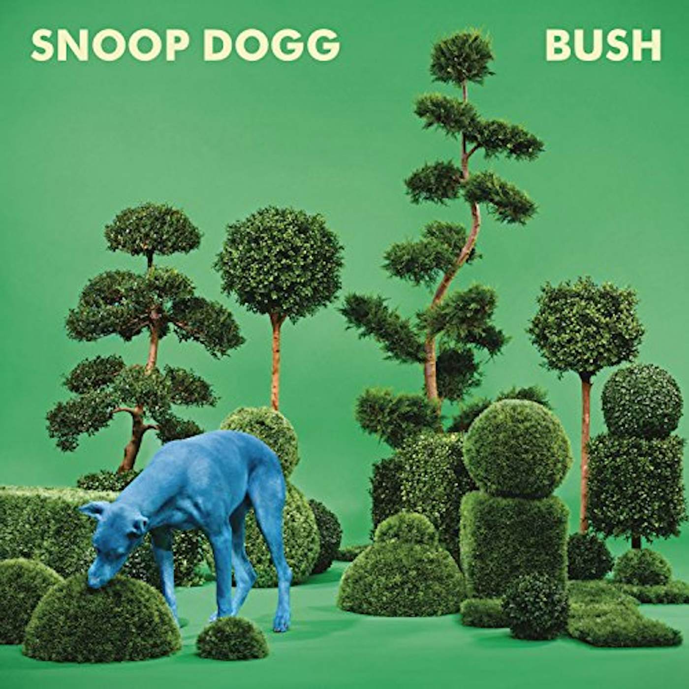 Snoop Dogg Bush Vinyl Record