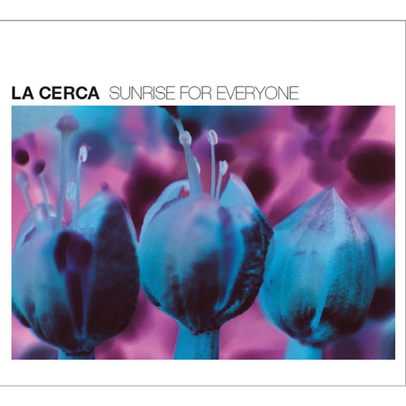 La Cerca SUNRISE FOR EVERYONE CD