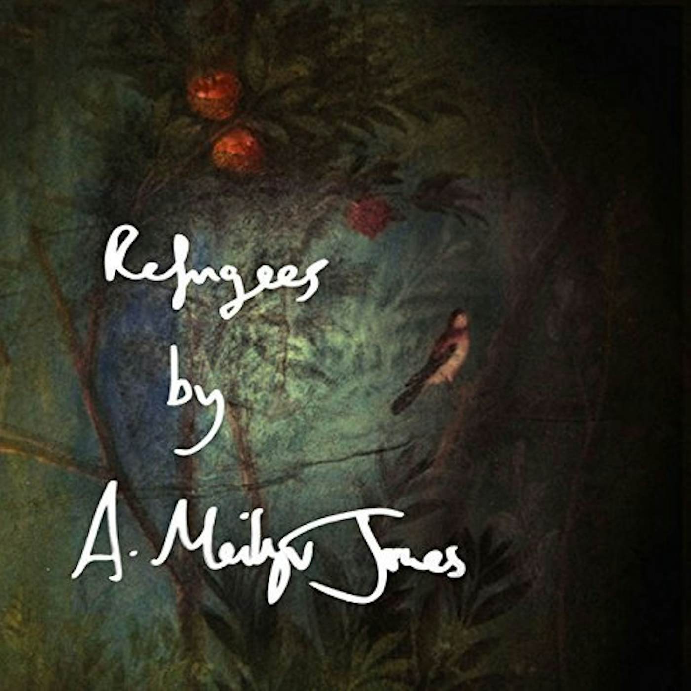 Meilyr Jones REFUGEES/BIRDS Vinyl Record