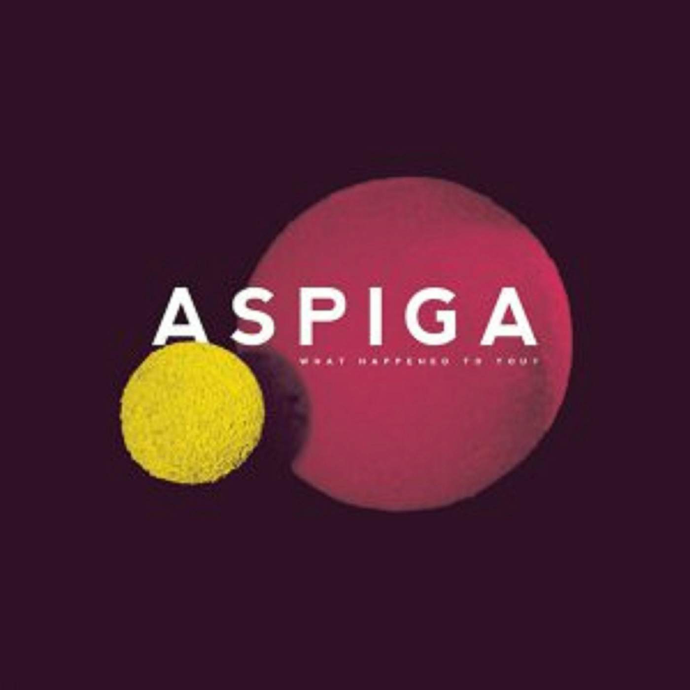 Aspiga WHAT HAPPENED TO YOU Vinyl Record