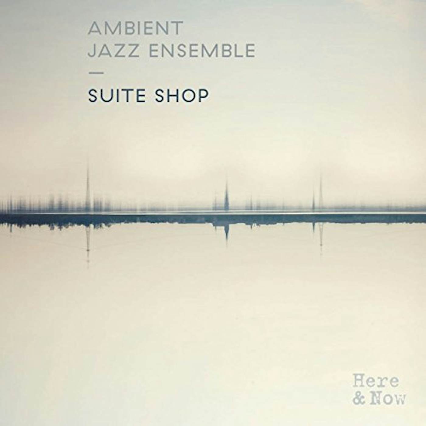 Ambient Jazz Ensemble SUITE SHOP ORIGINALS Vinyl Record