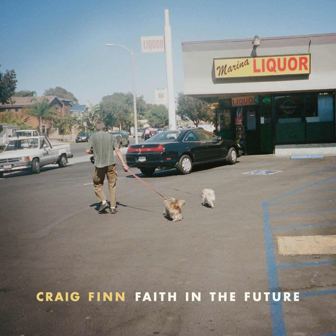 Craig Finn FAITH IN THE FUTURE CD