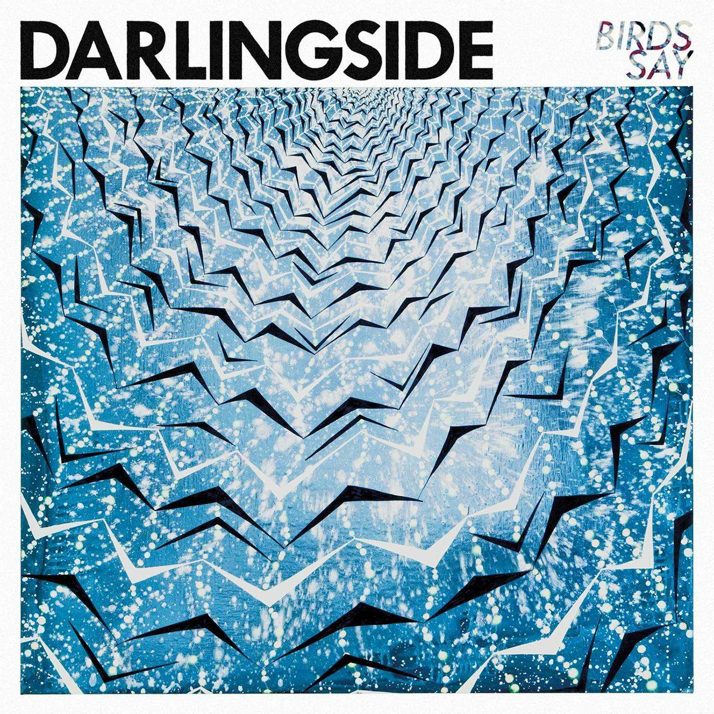 Darlingside Birds Say Vinyl Record