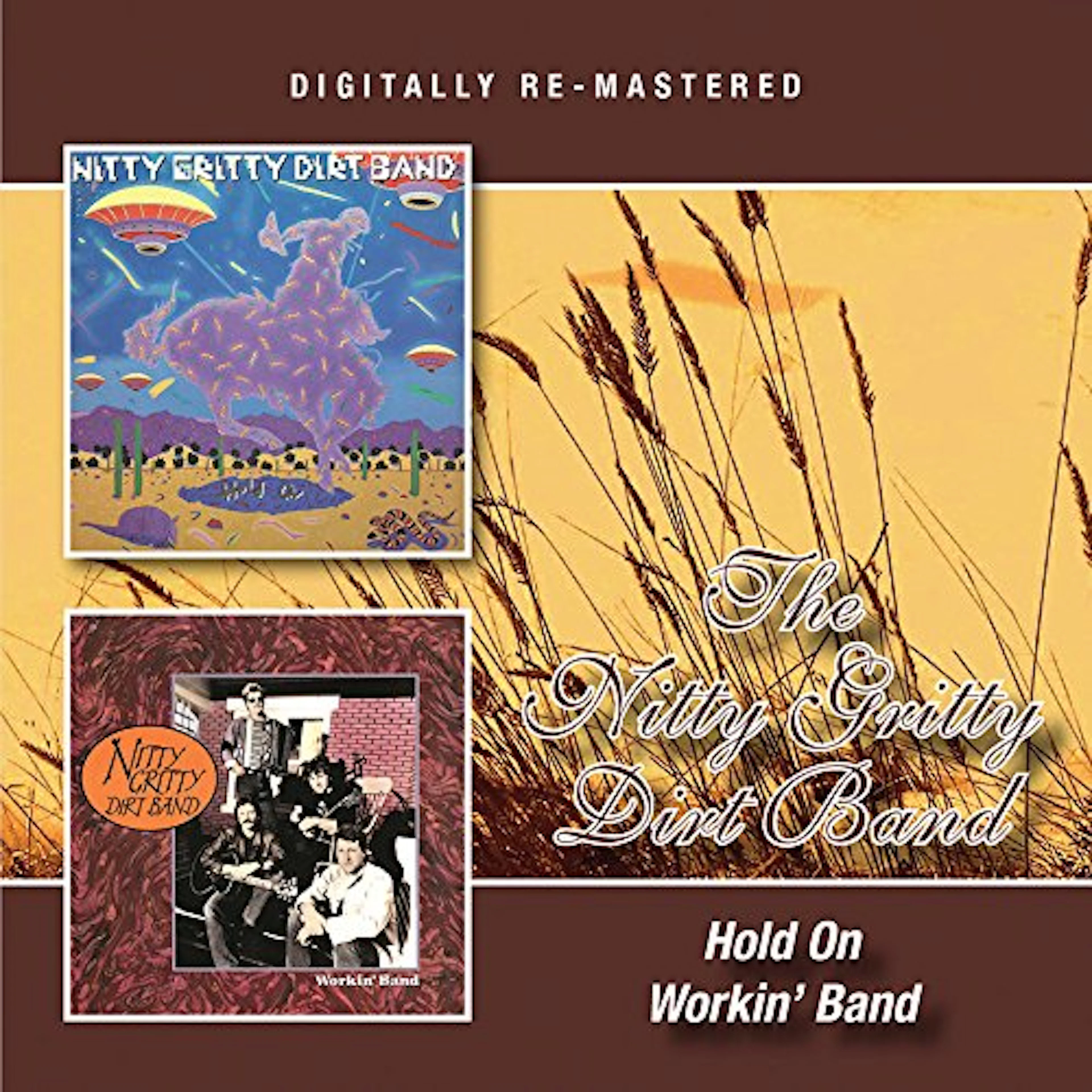 The Nitty Gritty Dirty Band HOLD ON / WORKIN BAND CD