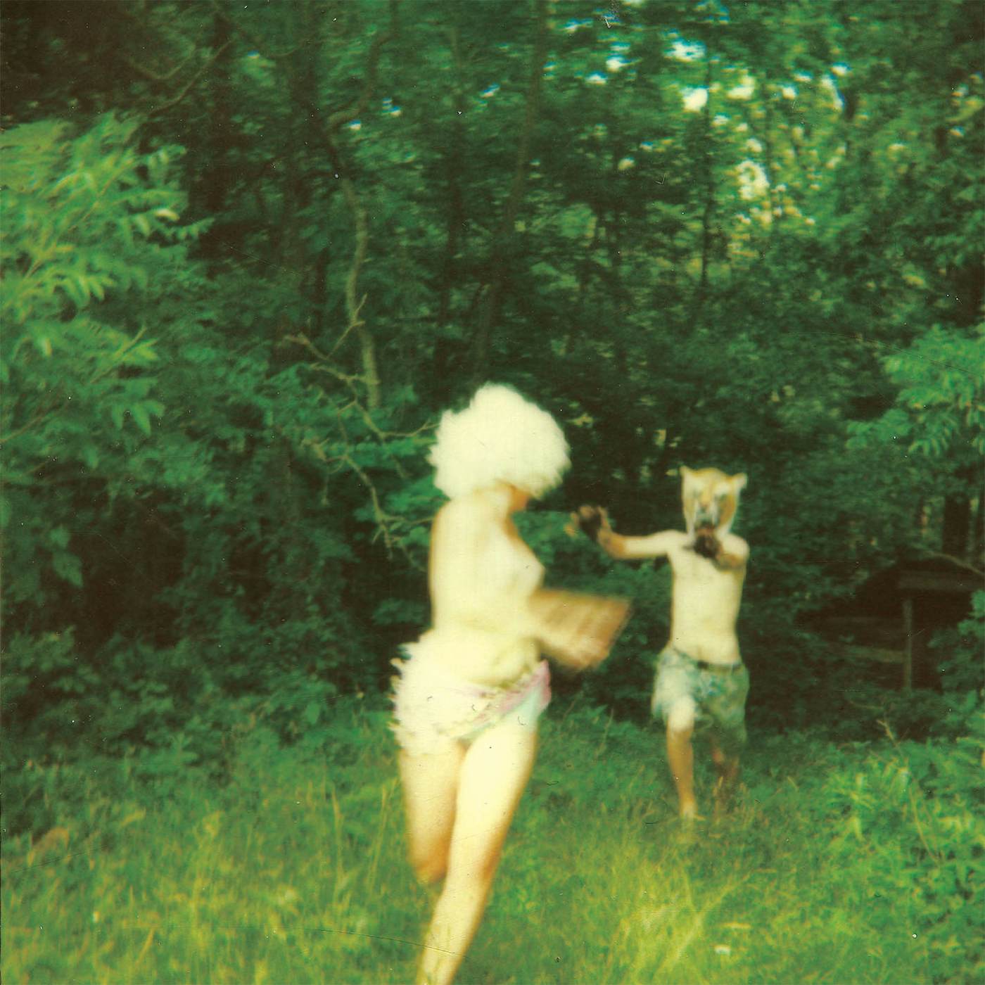 The World Is A Beautiful Place & I Am No Longer Afraid To Die Harmlessness Vinyl Record