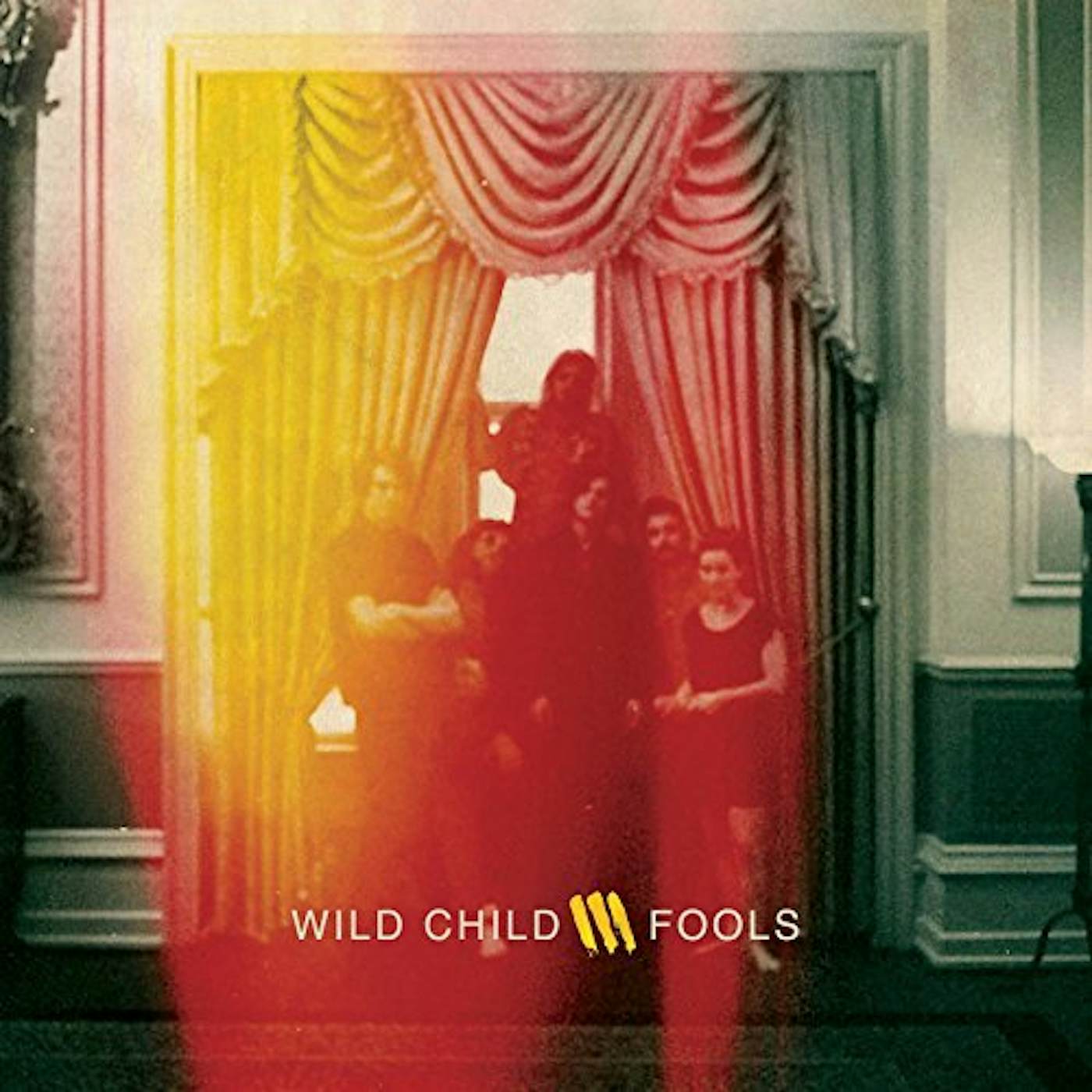 Wild Child Fools Vinyl Record