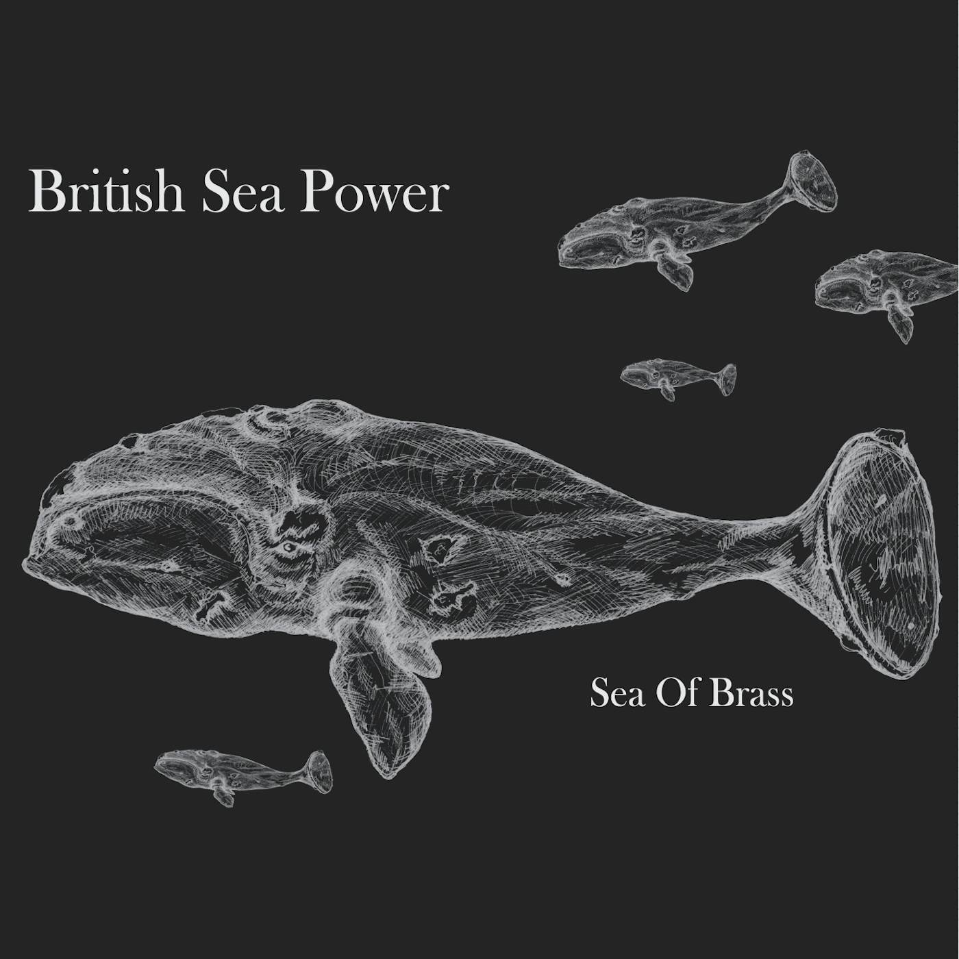 British Sea Power SEA OF BRASS CD