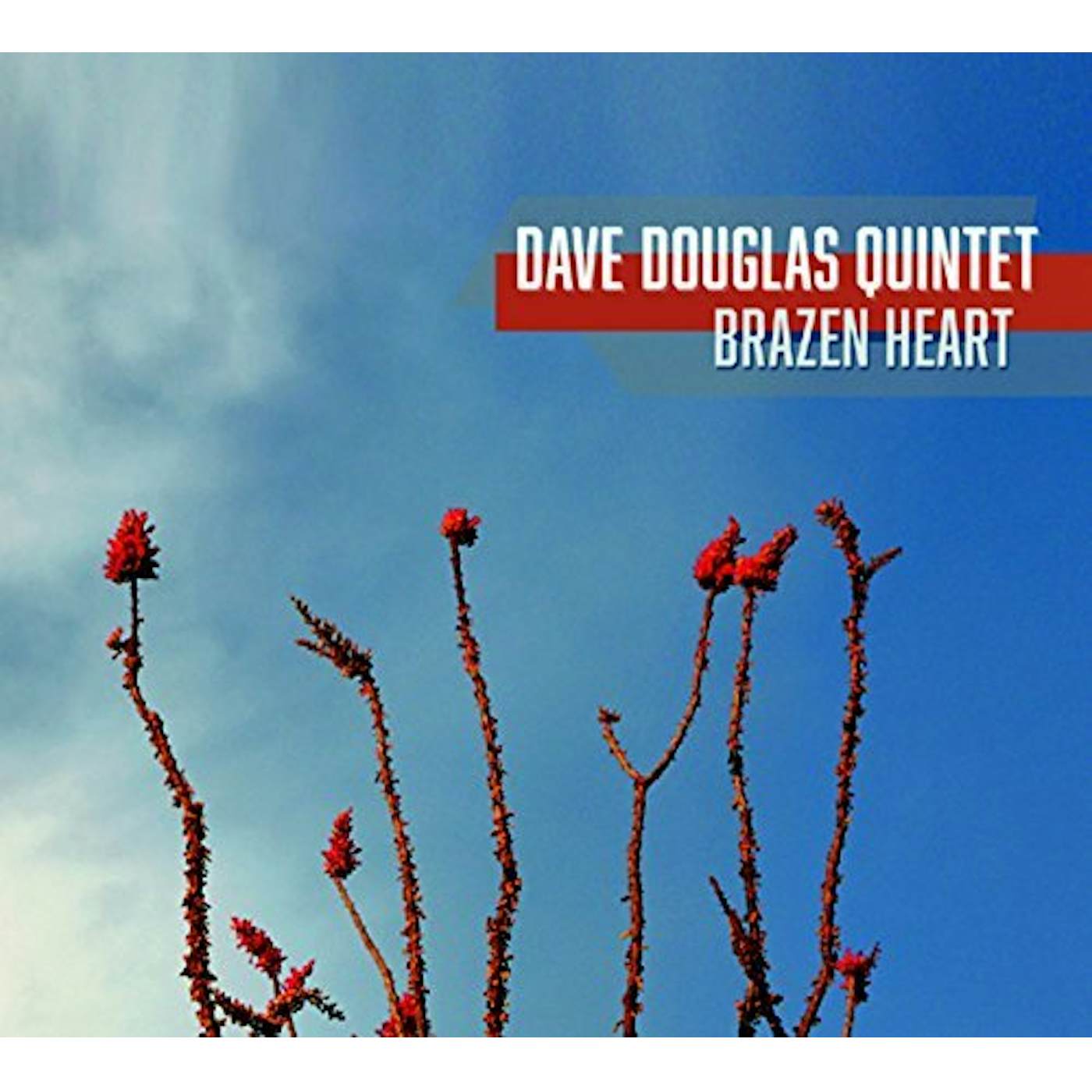 Dave Douglas BRAZEN HEART CD