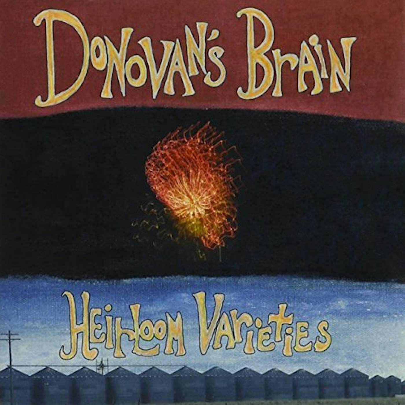 Donovan's Brain HEIRLOOM VARIETIES CD