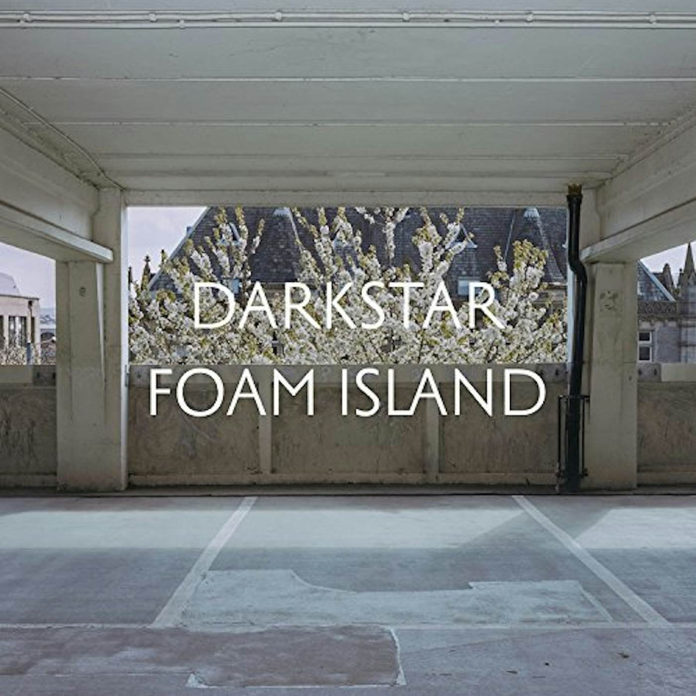 Darkstar Foam Island Vinyl Record