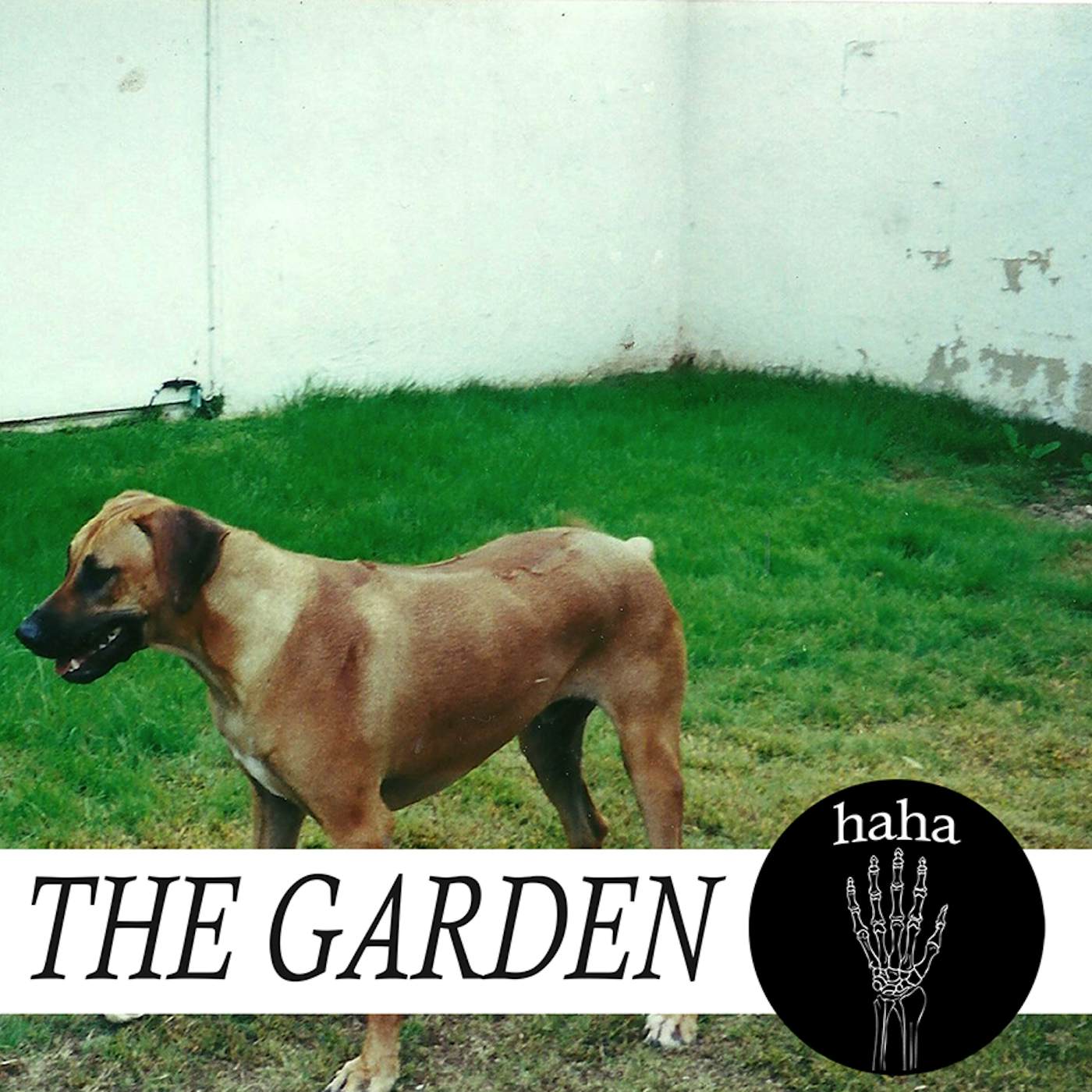 The Garden HAHA CD