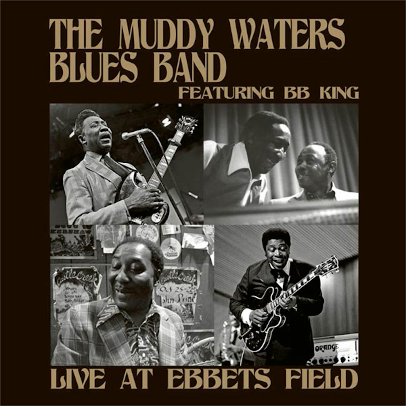 Muddy Waters Blues Band Live At Ebbets Field Vinyl Record