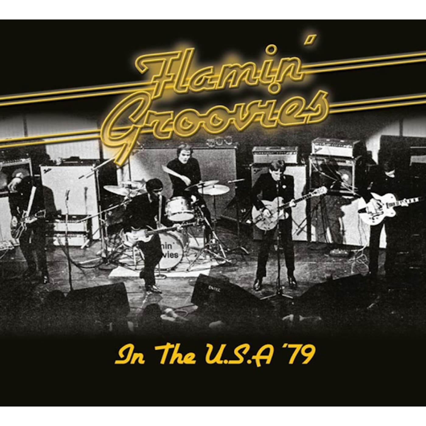 Flamin' Groovies IN THE U.S.A '79 CD