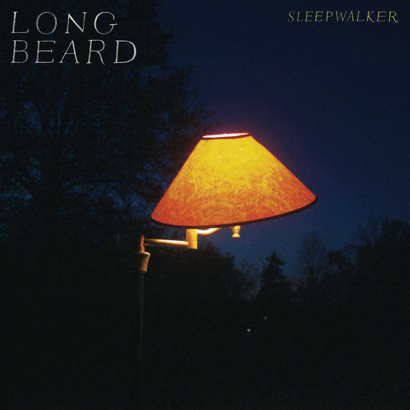 Long Beard Sleepwalker Vinyl Record