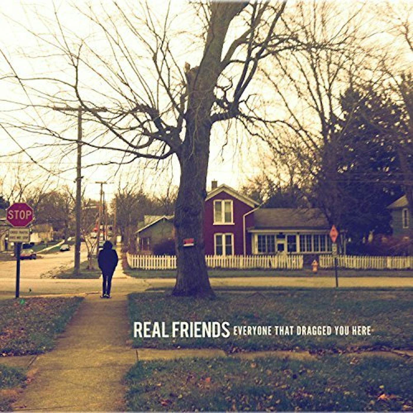Real Friends Everyone That Dragged You Here Vinyl Record