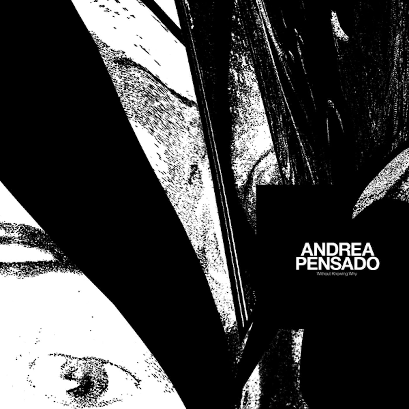 Andrea Pensado Without Knowing Why Vinyl Record