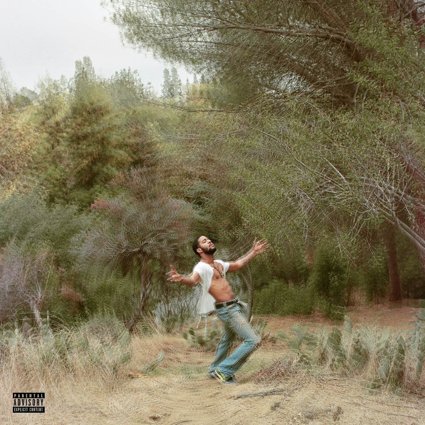 Kid Cudi SPEEDIN BULLET TO HEAVEN CD