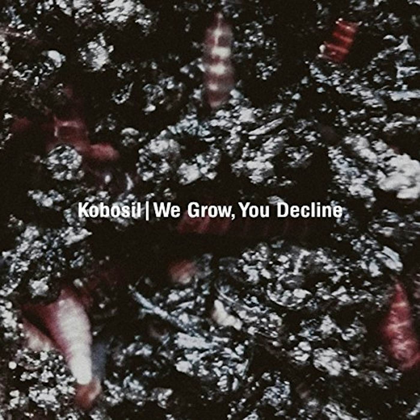 Kobosil WE GROW, YOU DECLINE CD