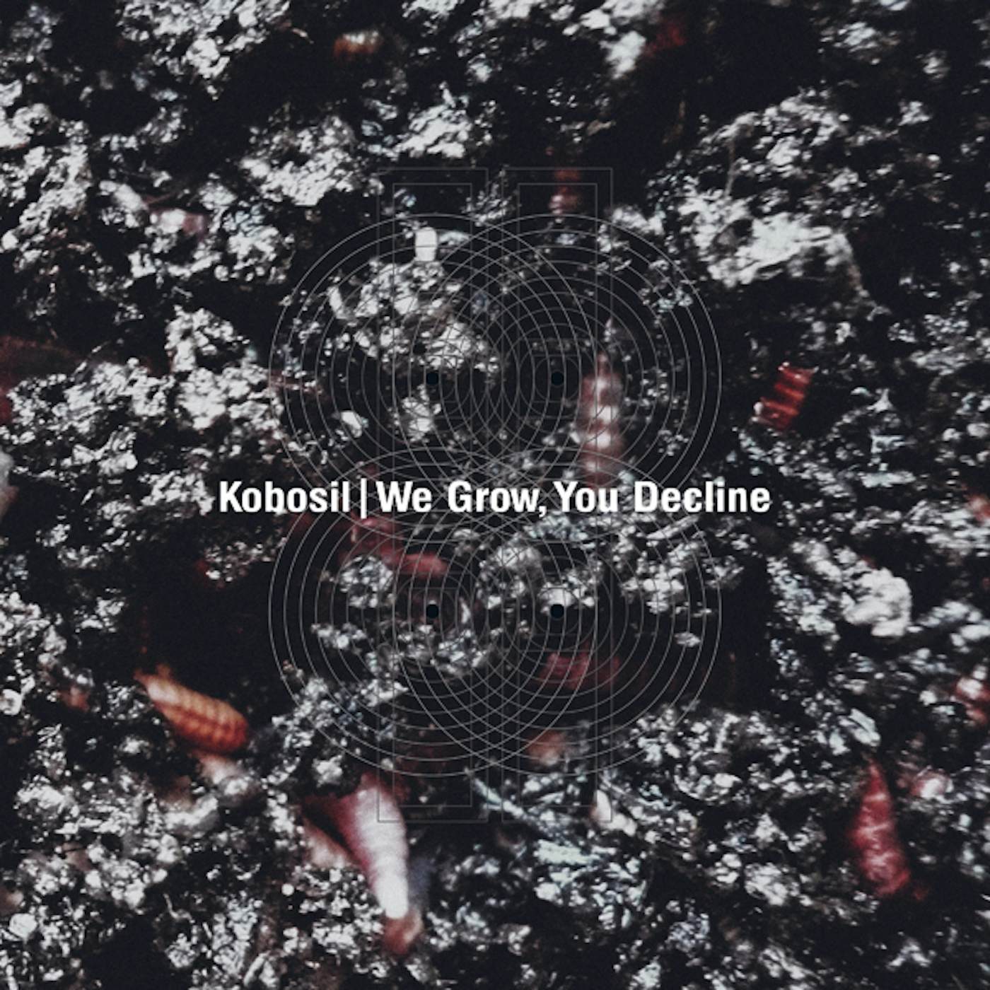 Kobosil WE GROW YOU DECLINE Vinyl Record