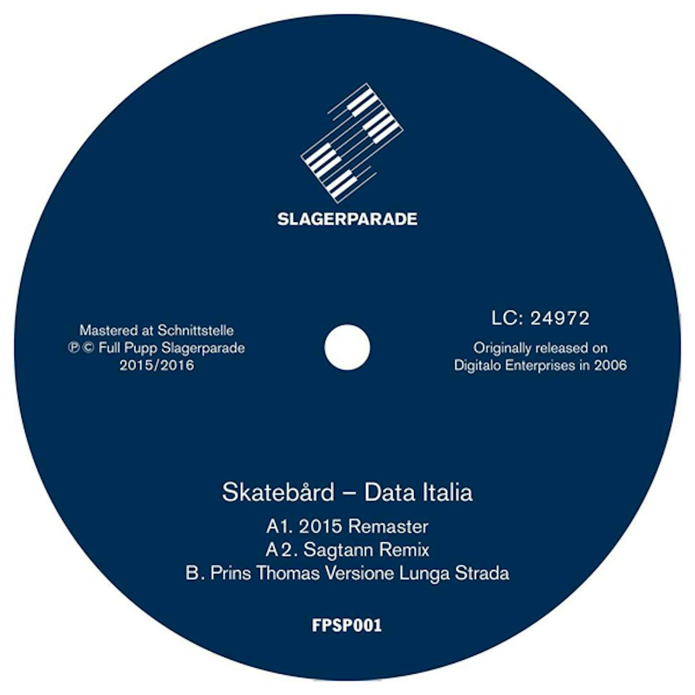 Skatebård Data Italia Vinyl Record