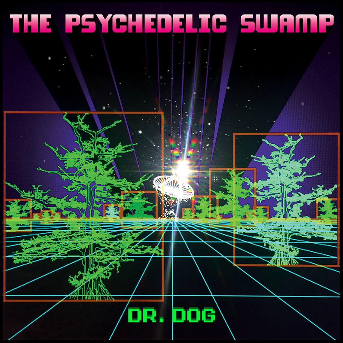 Dr. Dog PSYCHEDELIC SWAMP CD