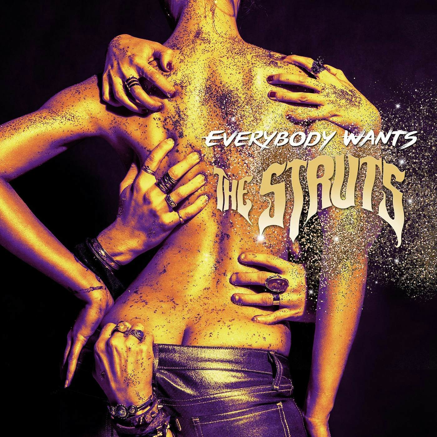 The Struts EVERYBODY WANTS CD