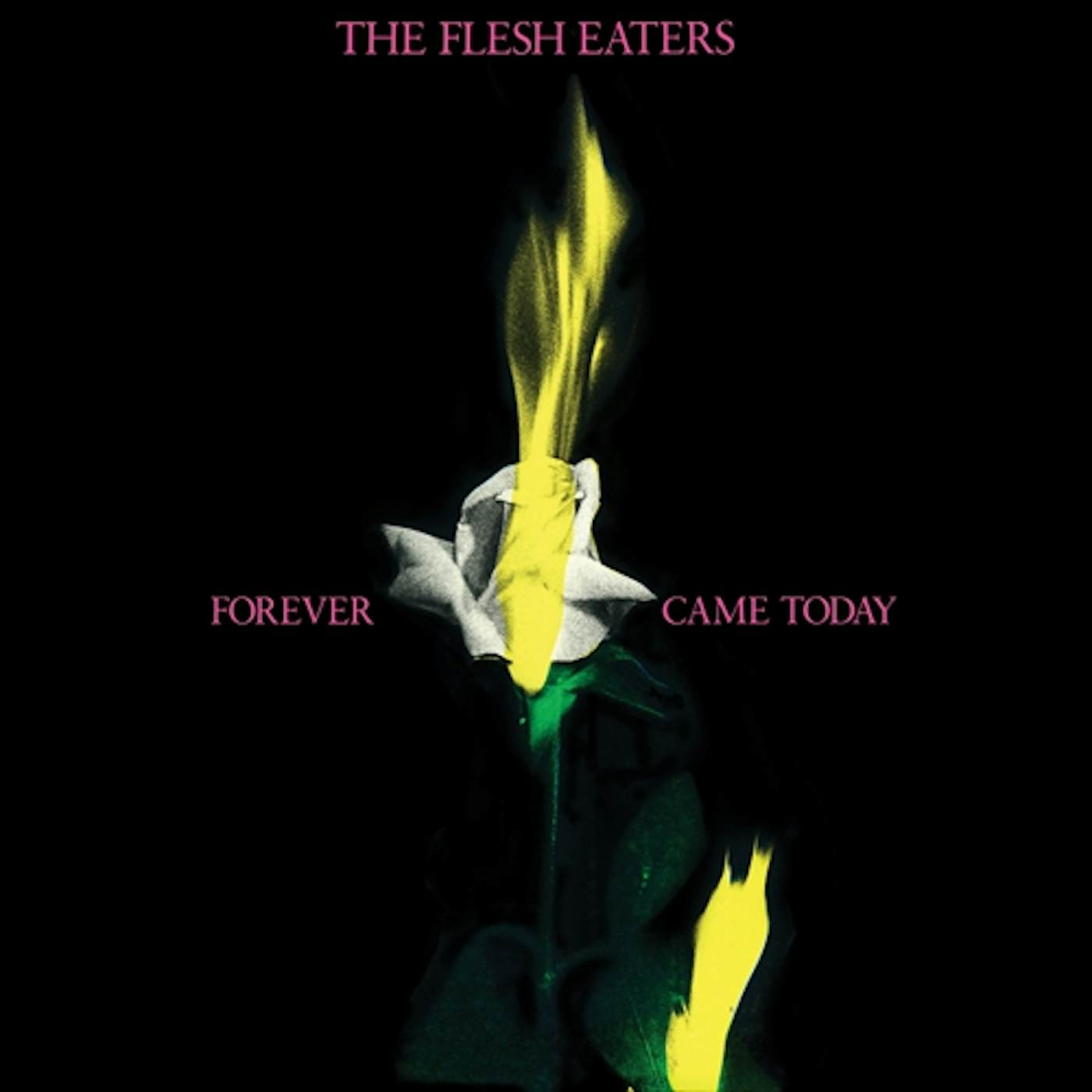 The Flesh Eaters FOREVER CAME TODAY CD