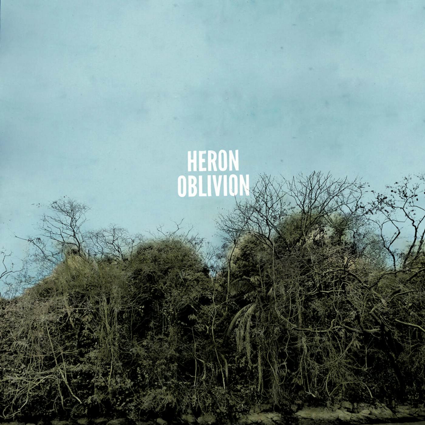 Heron Oblivion Vinyl Record