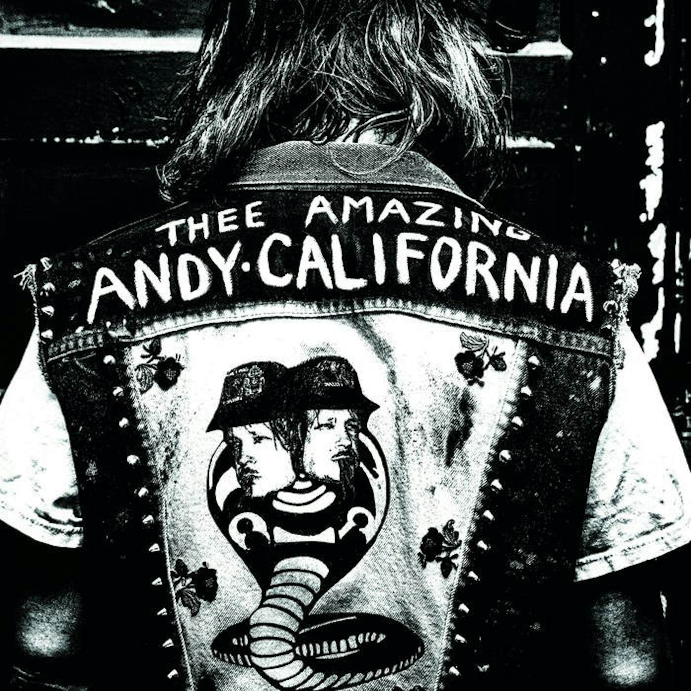 Andy California My Dying Bed Vinyl Record