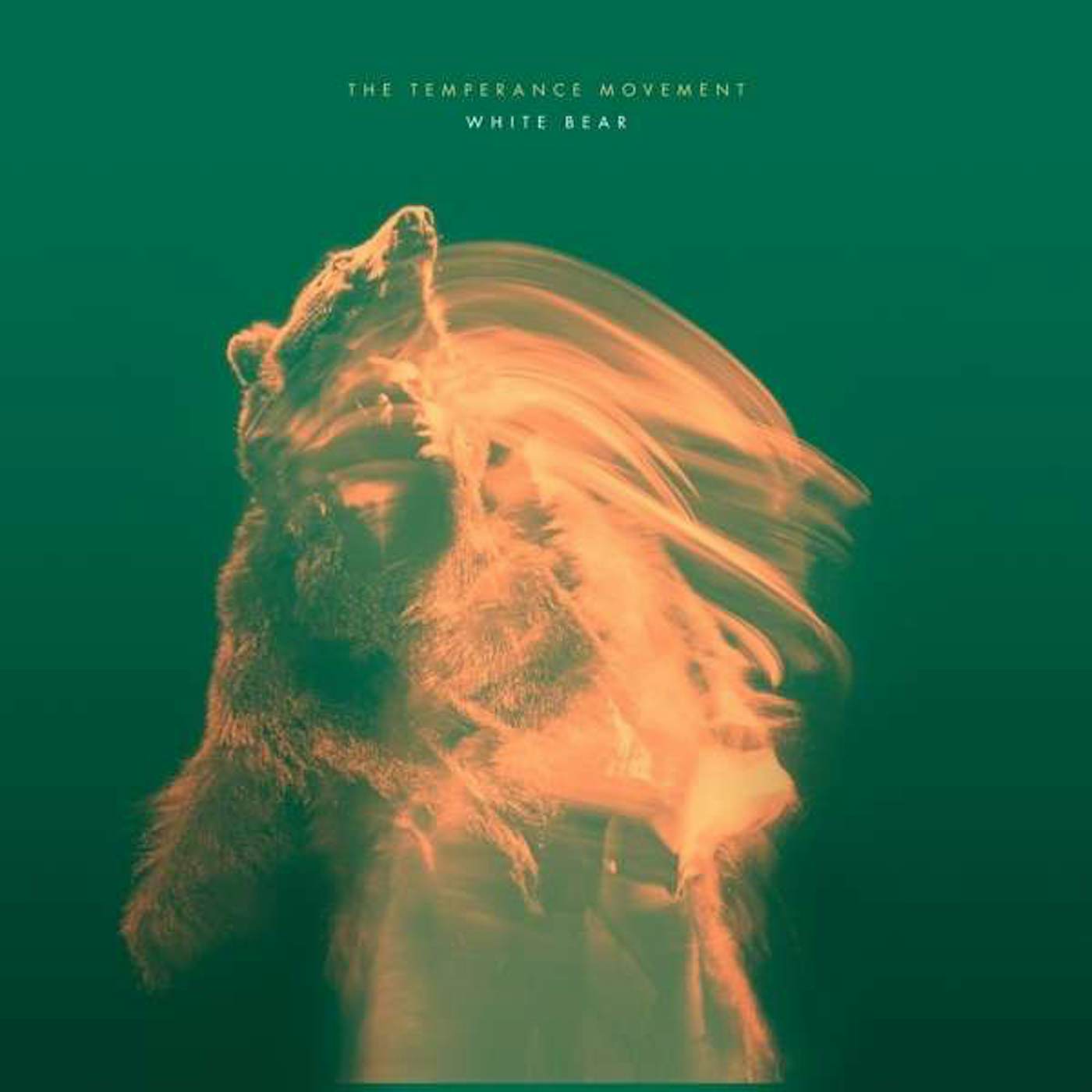 The Temperance Movement WHITE BEAR (LP) Vinyl Record - Canada Release