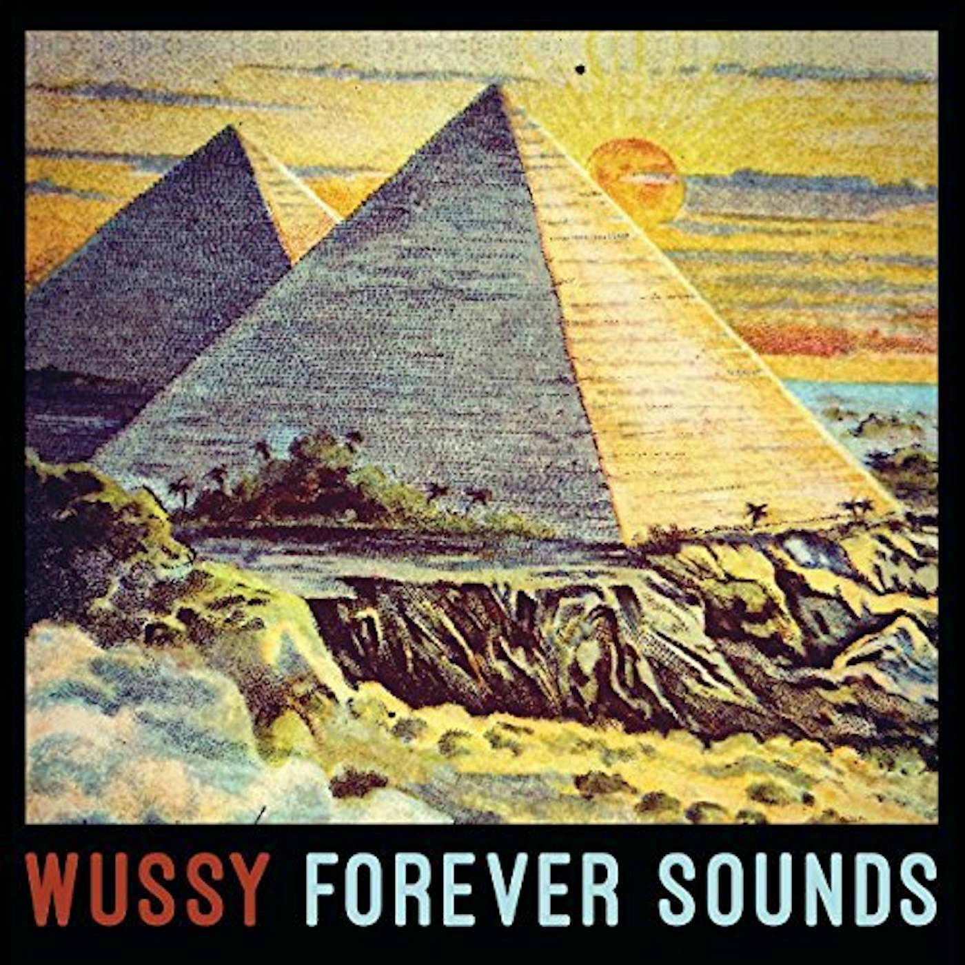 Wussy Forever Sounds Vinyl Record