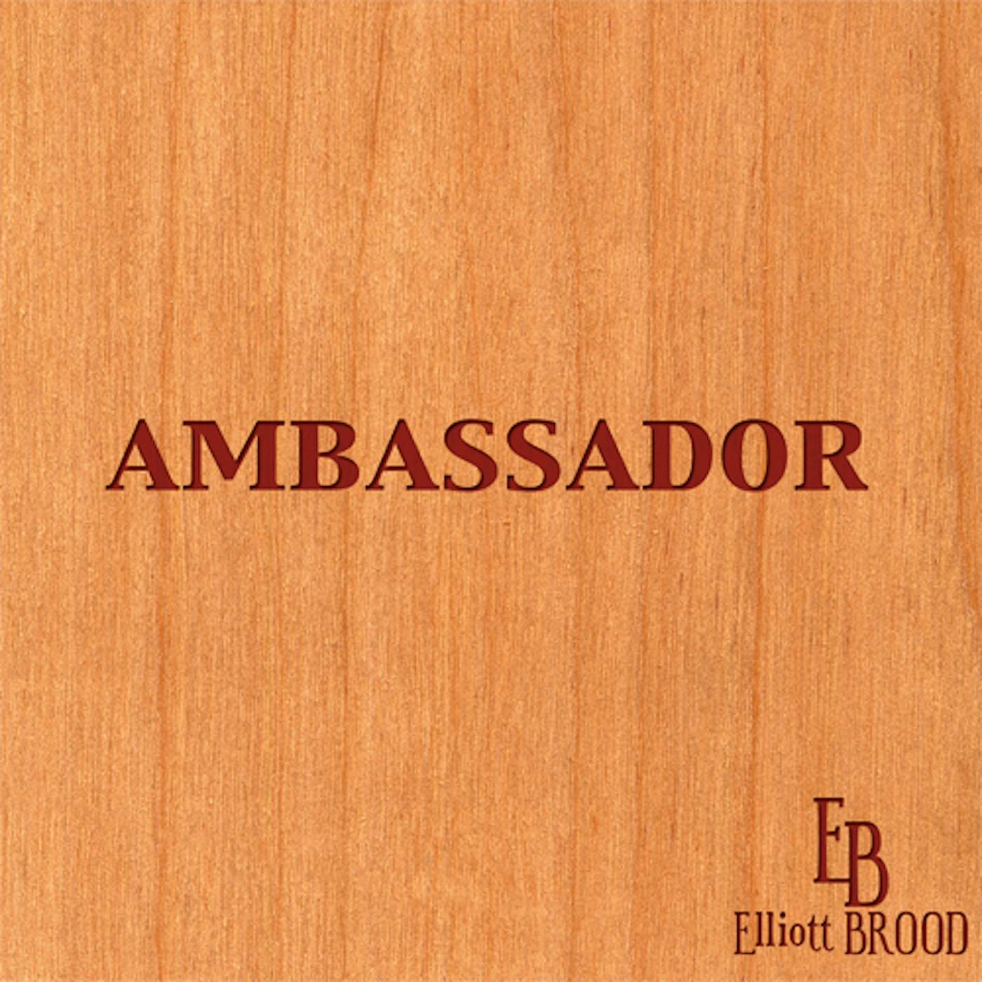 Elliott BROOD Ambassador Vinyl Record