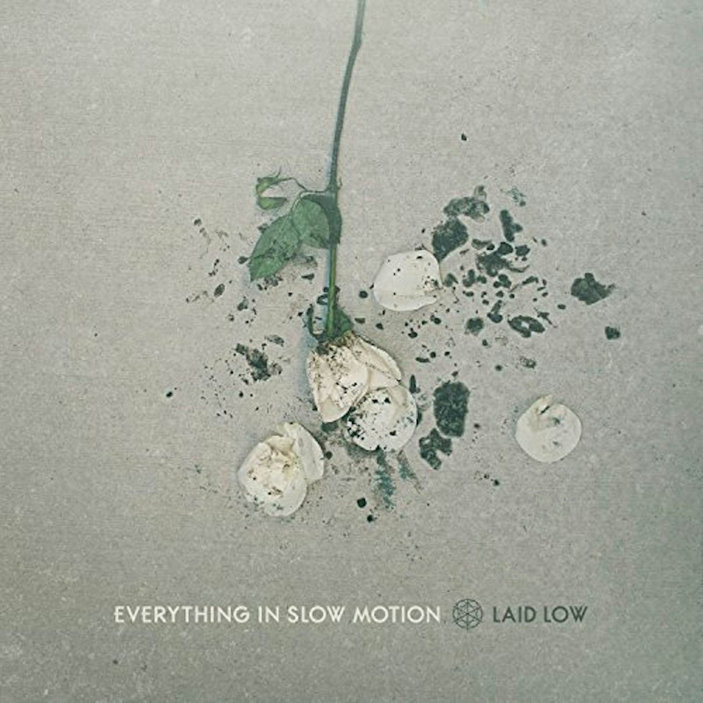 Everything In Slow Motion LAID LOW CD