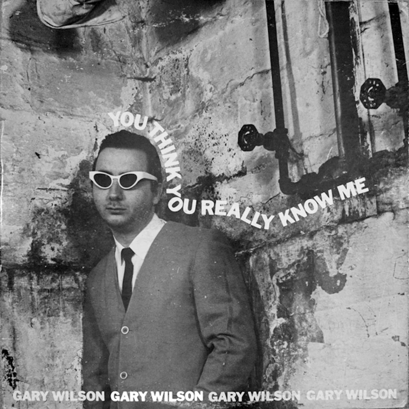 Gary Wilson You Think You Really Know Me Vinyl Record