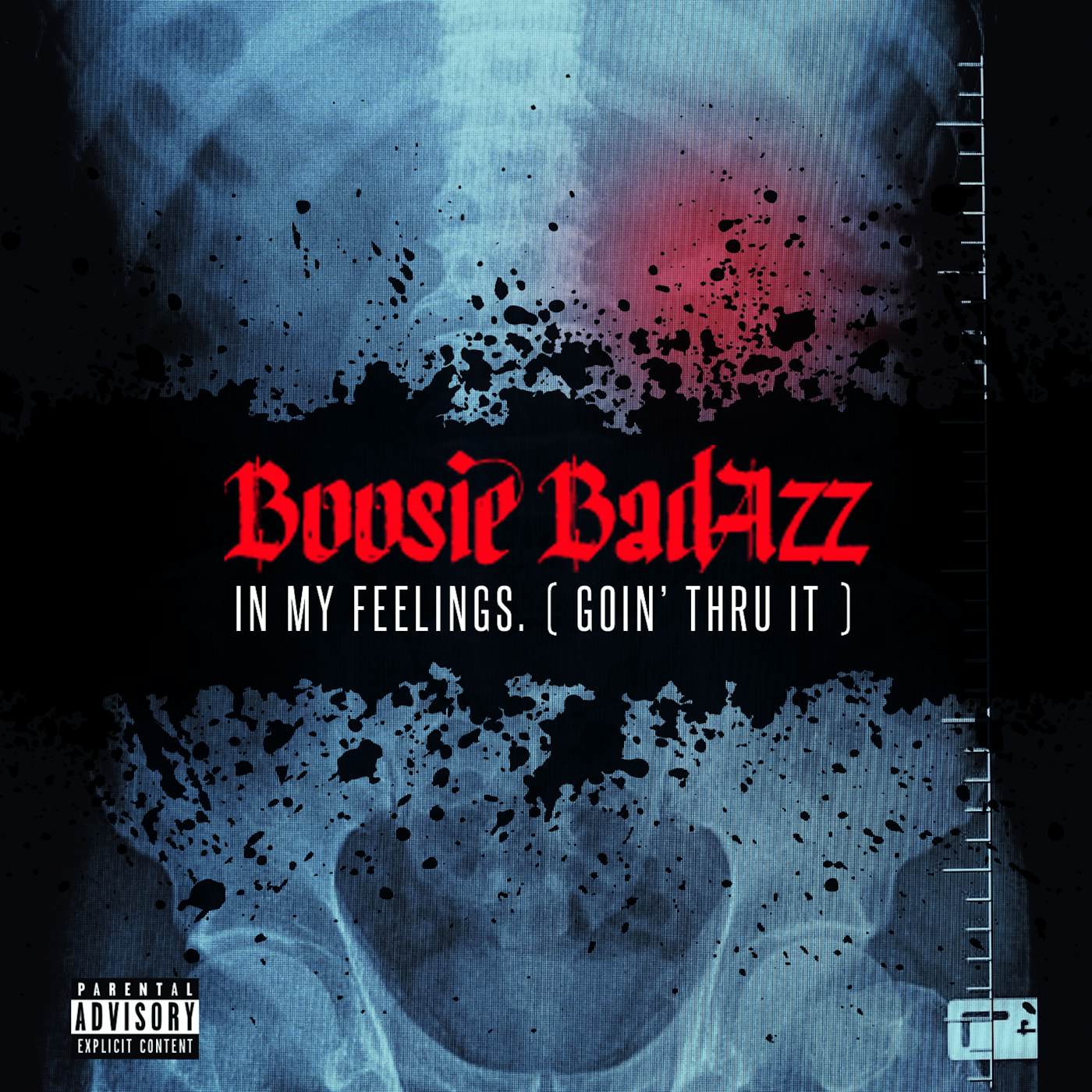 Boosie Badazz IN MY FEELINGS (GOIN' THRU IT) CD