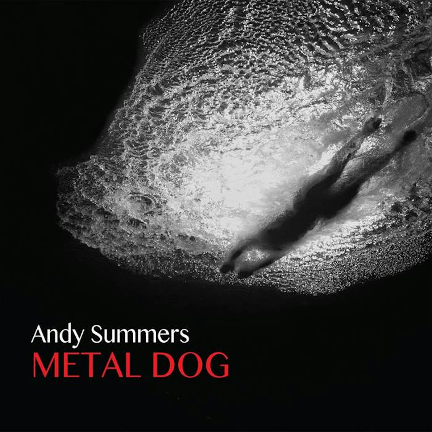 Andy Summers Metal Dog Vinyl Record