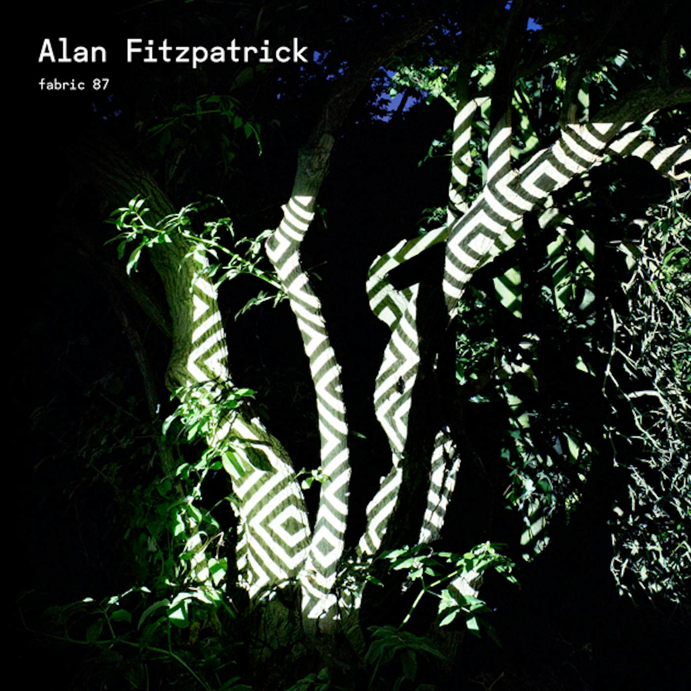 Alan Fitzpatrick FABRIC 87 CD