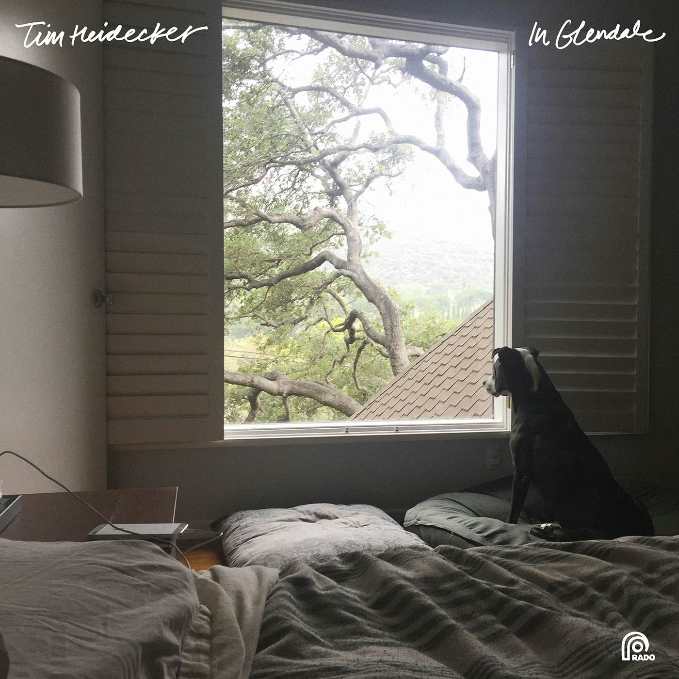 Tim Heidecker In Glendale Vinyl Record