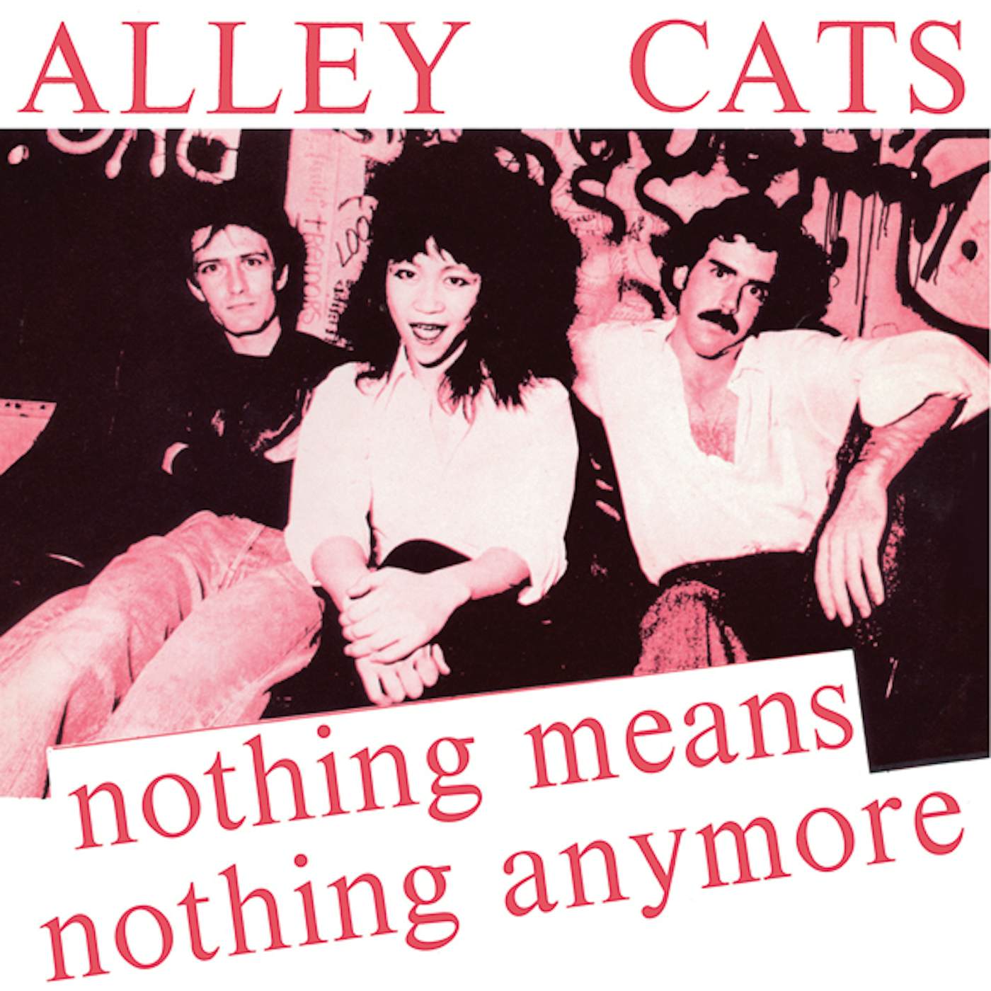 The Alley Cats NOTHING MEANS NOTHING ANYMORE / GIMME A LITTLE Vinyl Record
