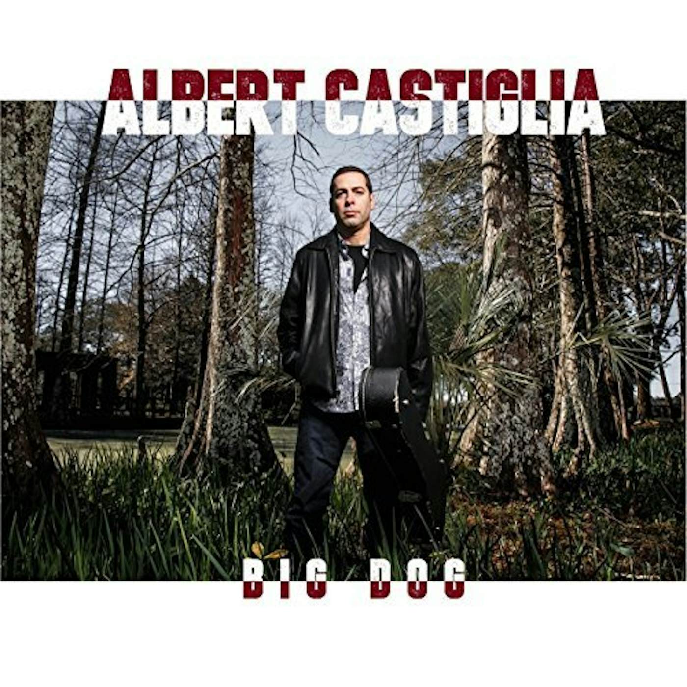 Albert Castiglia BIG DOG CD