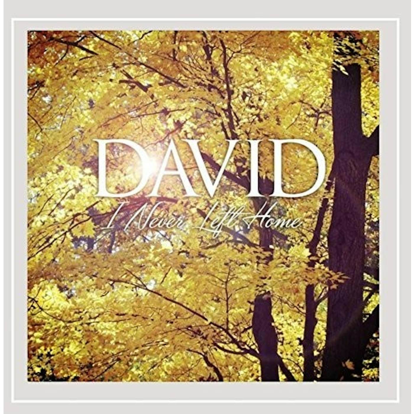 David I NEVER LEFT HOME CD