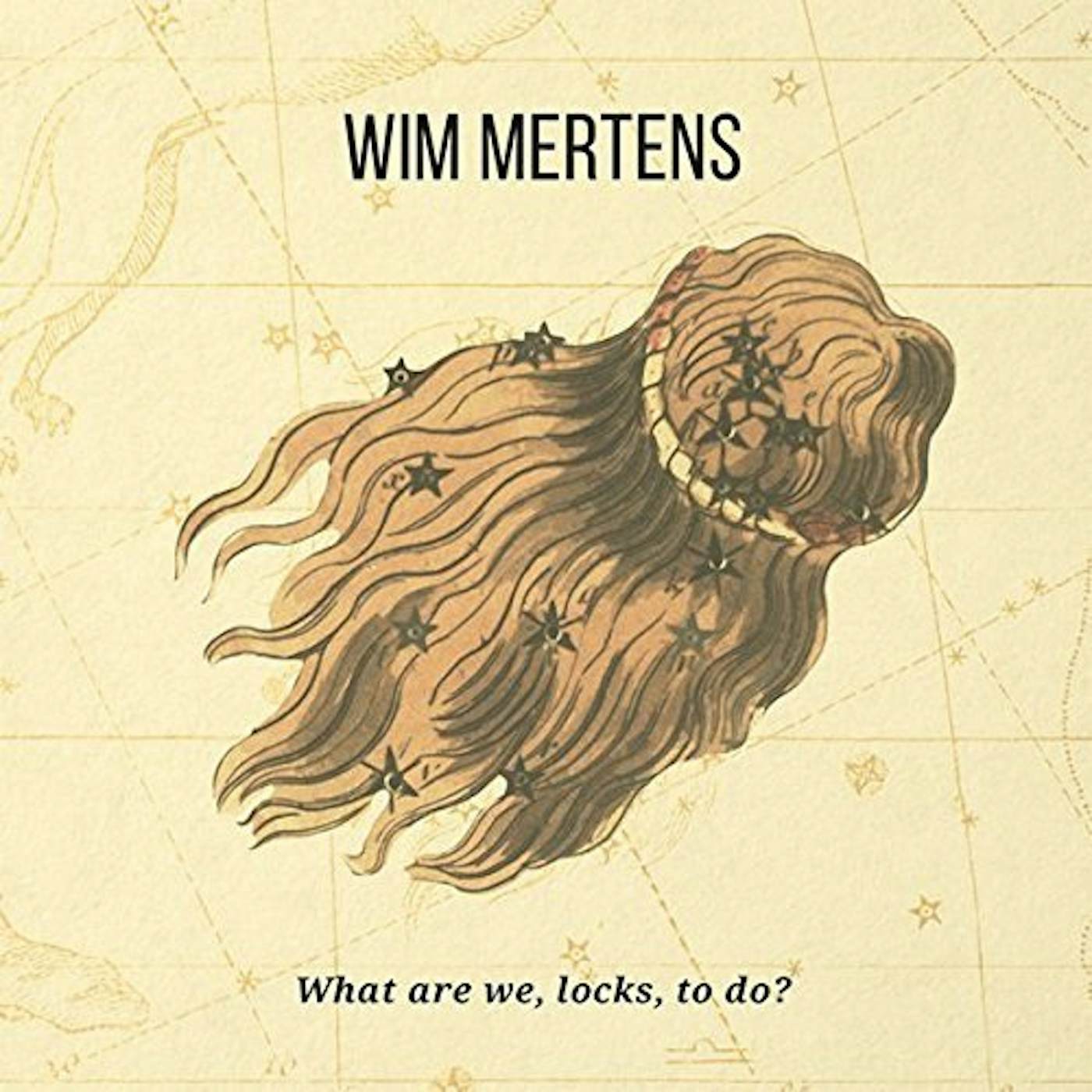 Wim Mertens WHAT ARE WE LOCKS TO DO CD