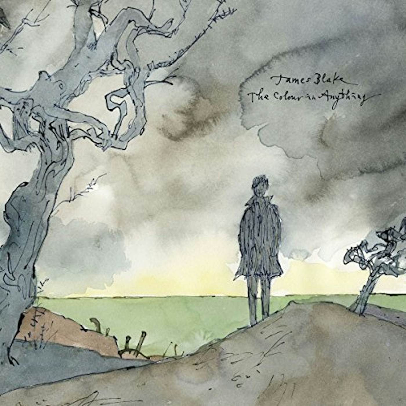 James Blake COLOUR IN ANYTHING CD