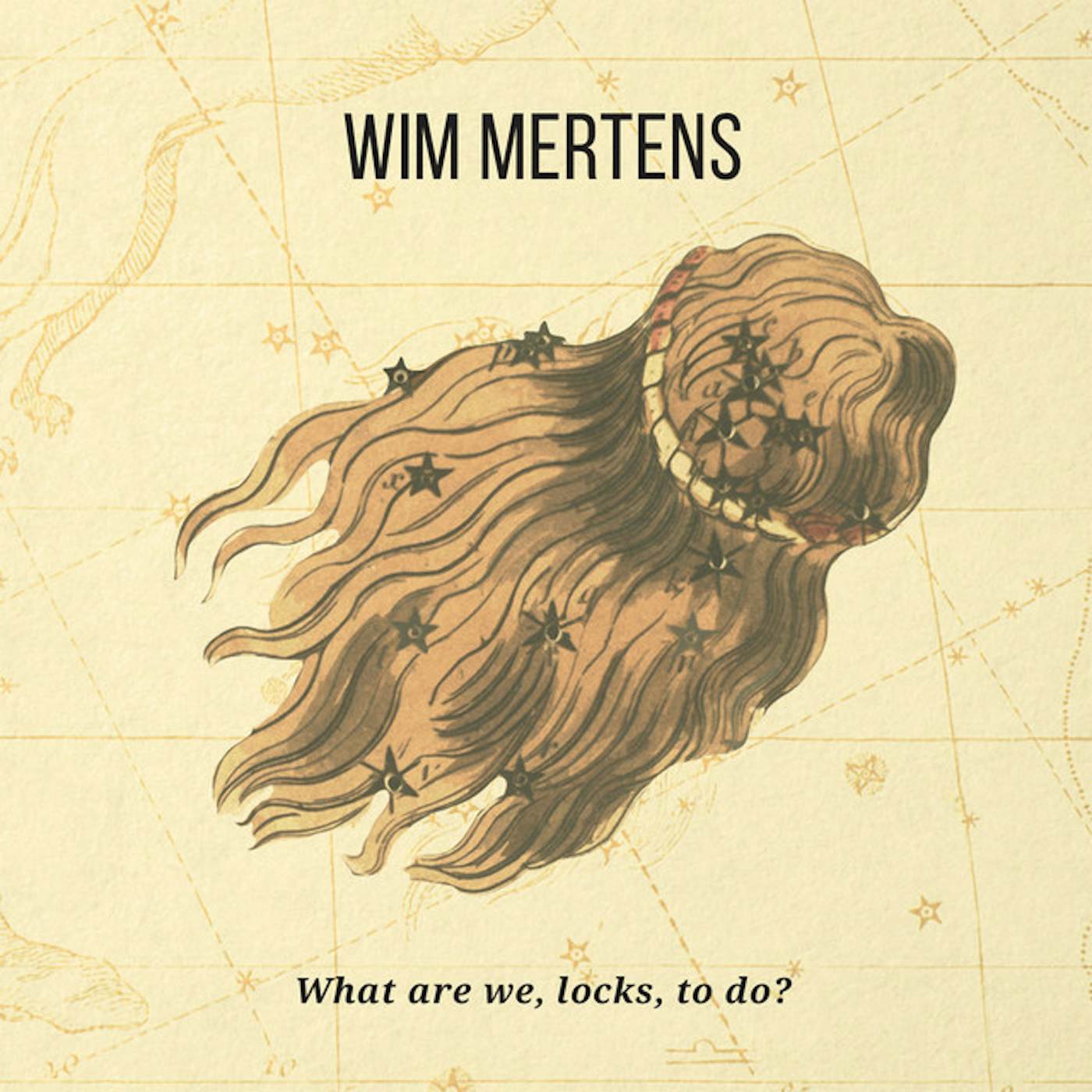 Wim Mertens WHAT ARE WE LOCKS TO DO? CD