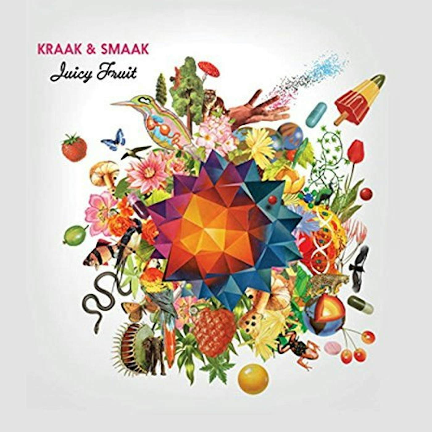 Kraak & Smaak Juicy Fruit Vinyl Record