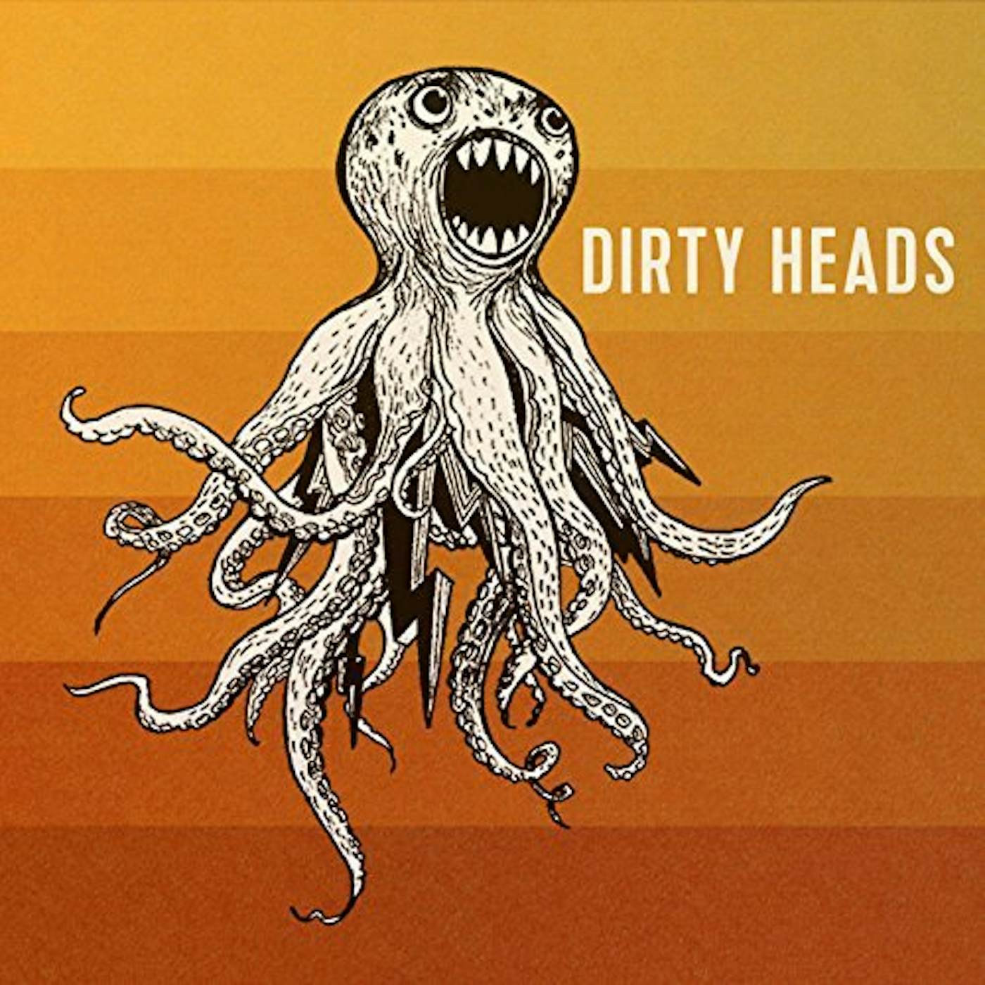 DIRTY HEADS CD
