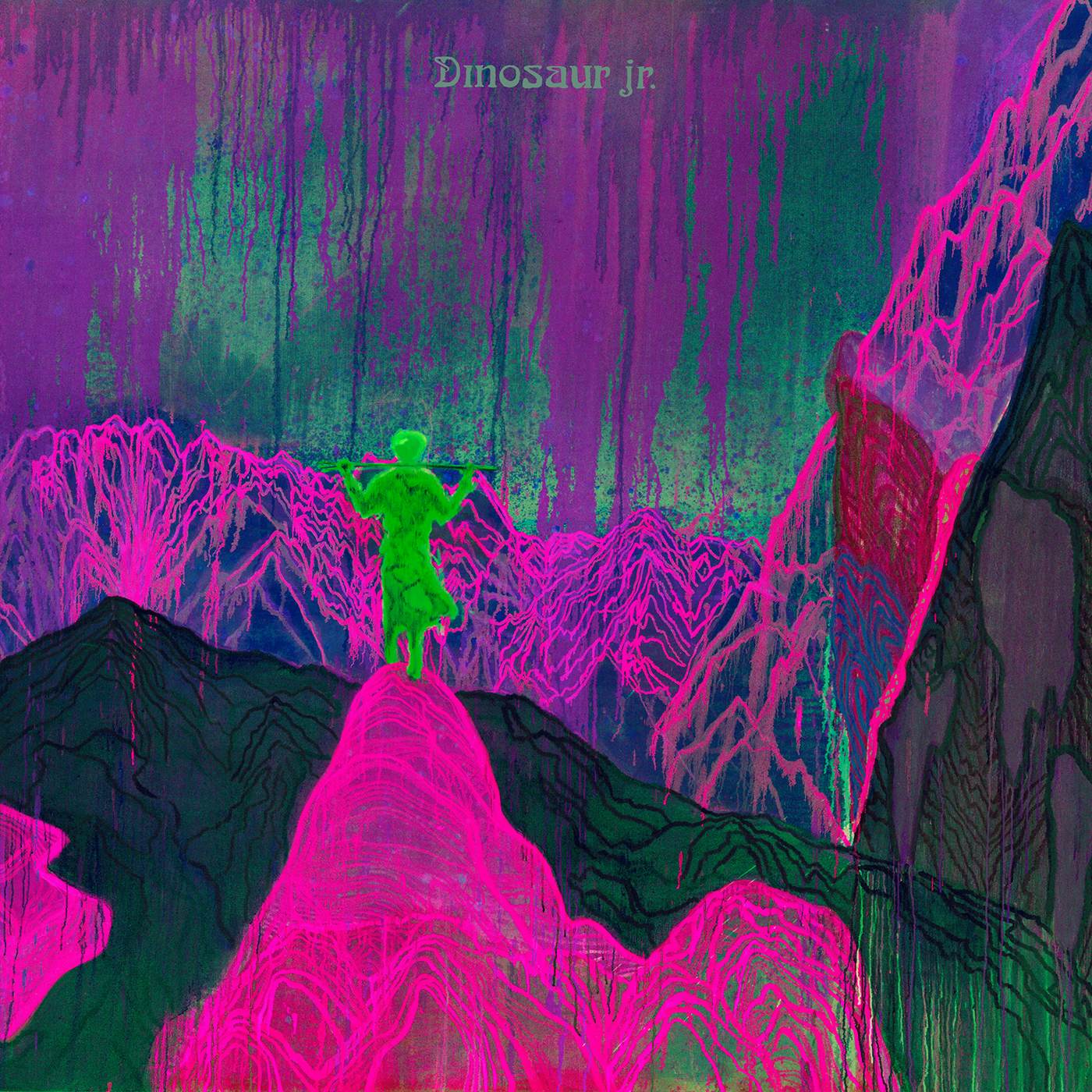 Dinosaur Jr. GIVE A GLIMPSE OF WHAT YER NOT CD