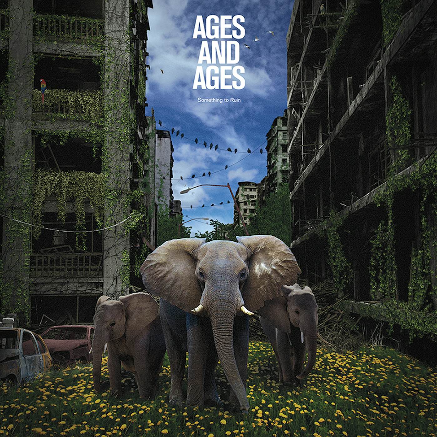 Ages and Ages SOMETHING TO RUIN CD